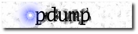 pdump - by samy kamkar